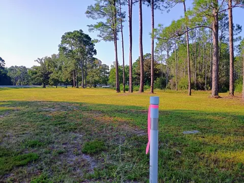 Other - 370 Mill Rd, Carrabelle, FL 32322 photo 2 of 11