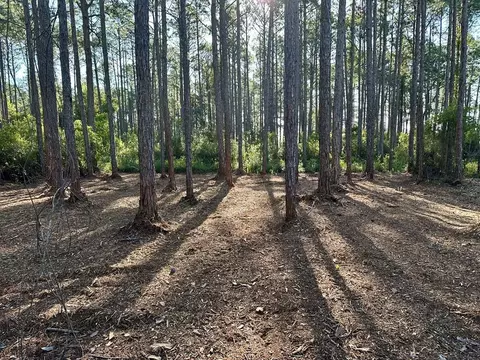 176 Royal Tern Way, Lanark Village, FL 32323