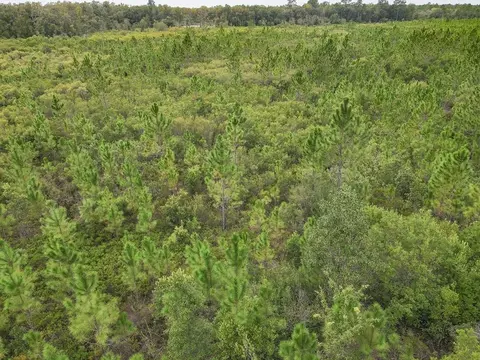 115 Beaver Rd, Carrabelle, FL 32322