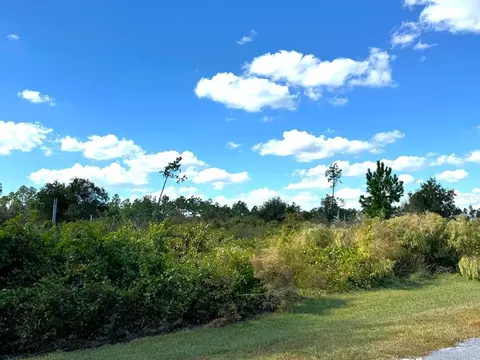 103 Wide Water Cir, Wewahitchka, FL 32465