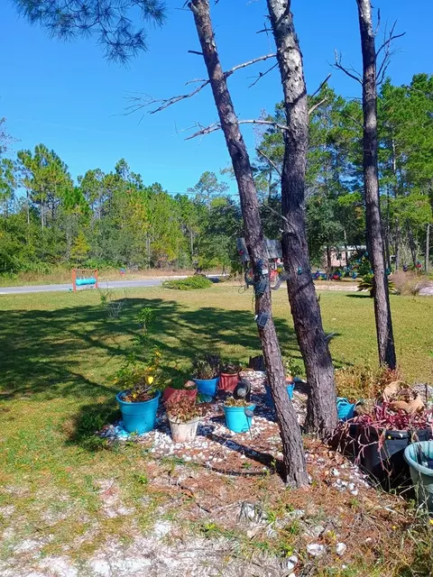 2088 Messer Rd, Carrabelle, FL 32322 photo 11