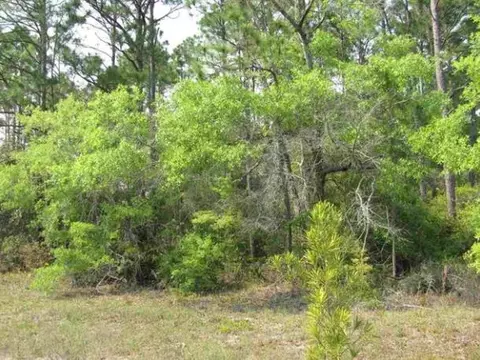 lot7 Lucy Ln, Panacea, FL 32346