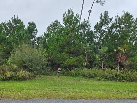 lot175 Wide Water Cir, Wewahitchka, FL 32465
