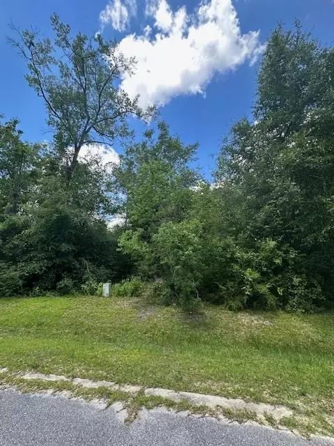 lot21 Seven Springs Dr, Wewahitchka, FL 32465