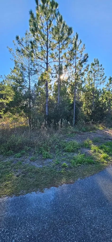 915 NE 6th St, Carrabelle, FL 32322 photo 4