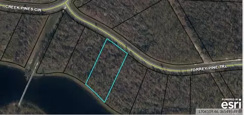 lot85 Torrey Pine Trl, Wewahitchka, FL 32465