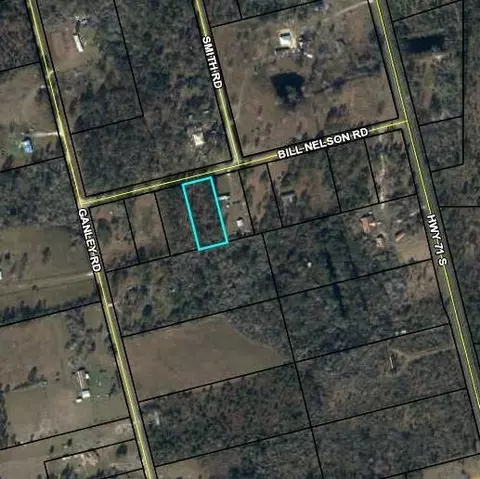 lot4 Bill Nelson Rd, Wewahitchka, FL 32465