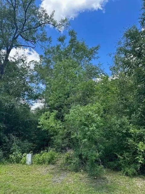lot1 Seven Springs Dr, Wewahitchka, FL 32465
