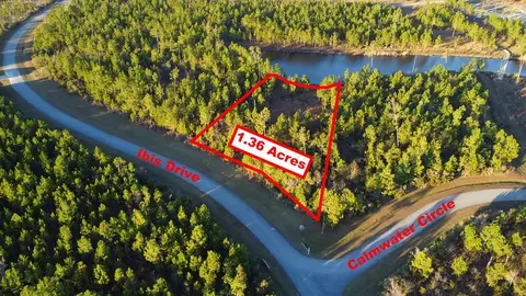 lot157 Ibis Dr, Wewahitchka, FL 32465