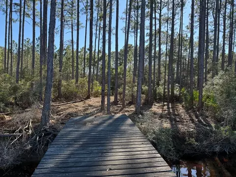181 Kal Ln, Carrabelle, FL 32322 photo 4
