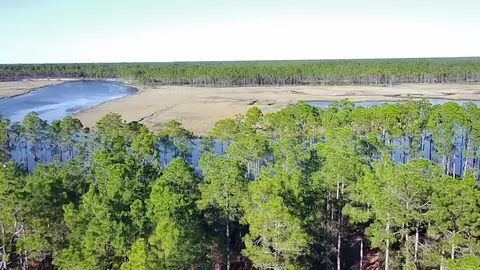 181 Kal Ln, Carrabelle, FL 32322 photo 14