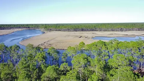 181 Kal Ln, Carrabelle, FL 32322 photo 13
