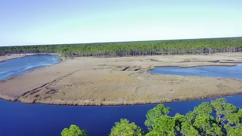 181 Kal Ln, Carrabelle, FL 32322 photo 9