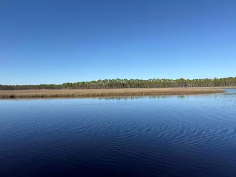 181 Kal Ln, Carrabelle, FL 32322 photo 12