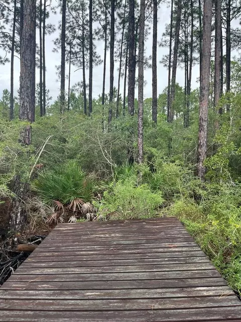 181 Kal Ln, Carrabelle, FL 32322 photo 3