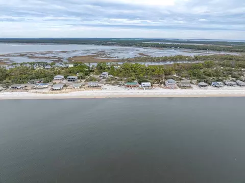 1235 Alligator Dr, Panacea, FL 32346 photo 6