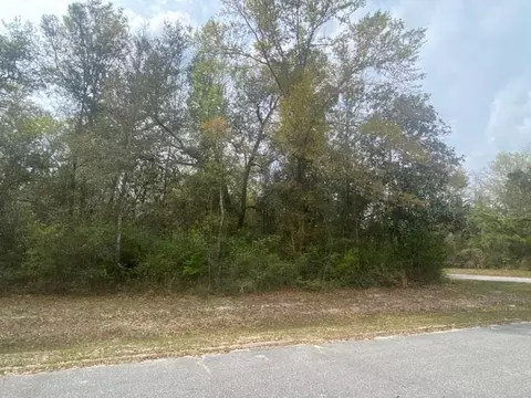 lot7 Seven Springs Dr, Wewahitchka, FL 32465