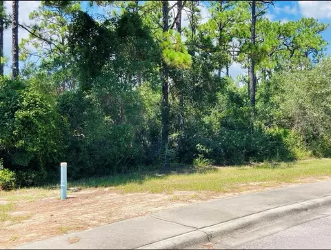 129 Anhinga Ct, Carrabelle, FL 32322 photo 1