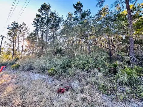 2043 Hwy 98 W, Carrabelle, FL 32322 photo 2