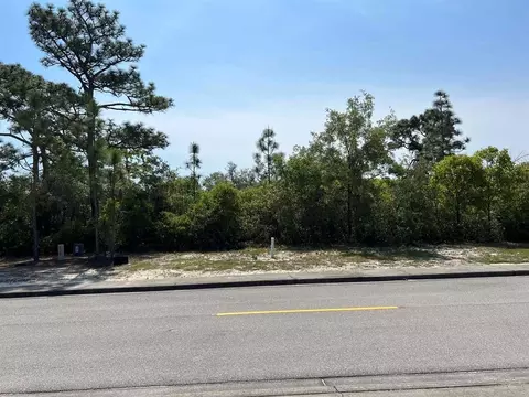 146 Anhinga Trl, Carrabelle, FL 32322 photo 1