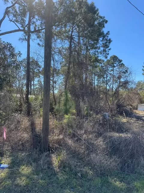806 NE 3rd St, Carrabelle, FL 32322 photo 1