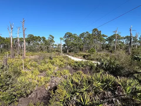 5580 Cape San Blas Rd, Port St. Joe, FL 32456
