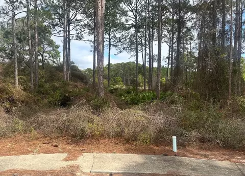 130 Spoonbill Ct, Carrabelle, FL 32322 photo 2