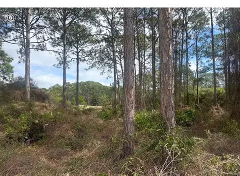 130 Spoonbill Ct, Carrabelle, FL 32322 photo 3