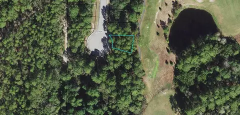 130 Spoonbill Ct, Carrabelle, FL 32322 photo 5