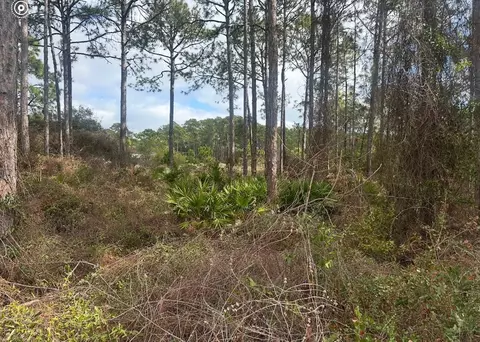 130 Spoonbill Ct, Carrabelle, FL 32322 photo 4