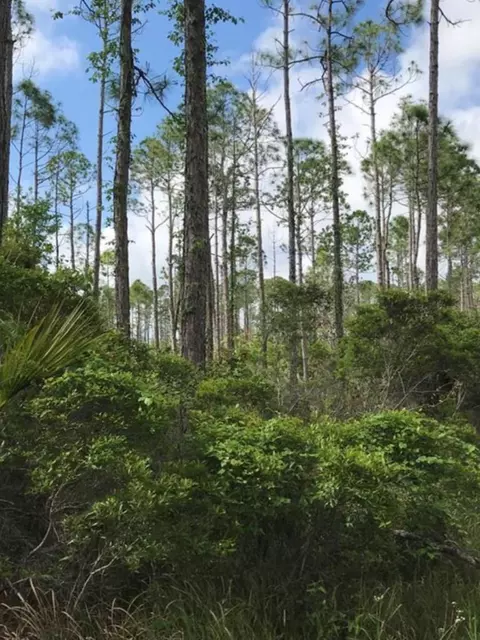 1073 Sr 65, Eastpoint, FL 32328