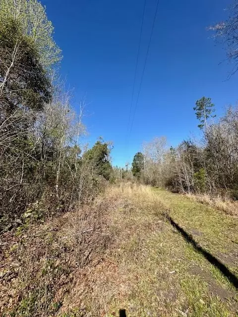 lot4 Pineview Dr, Wewahitchka, FL 32465