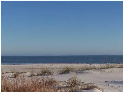 105 Loggerhead Ln, Cape San Blas, FL 32456 photo 63