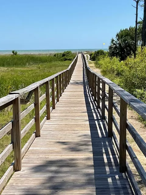 105 Loggerhead Ln, Cape San Blas, FL 32456 photo 61