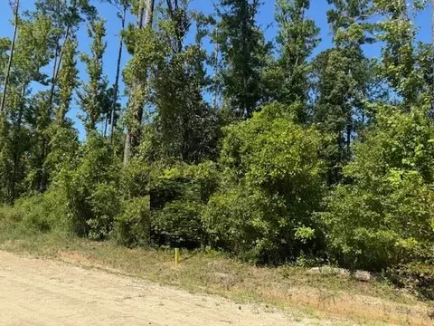 lot4 Johnson St, Wewahitchka, FL 32465