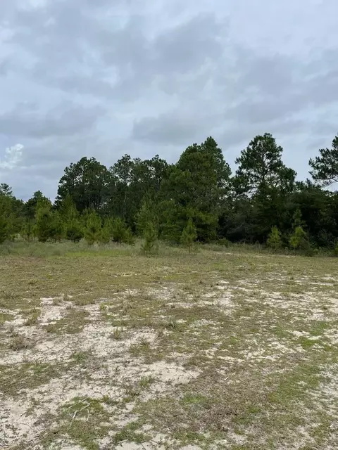 2079 Lighthouse Rd, Carrabelle, FL 32322 photo 6