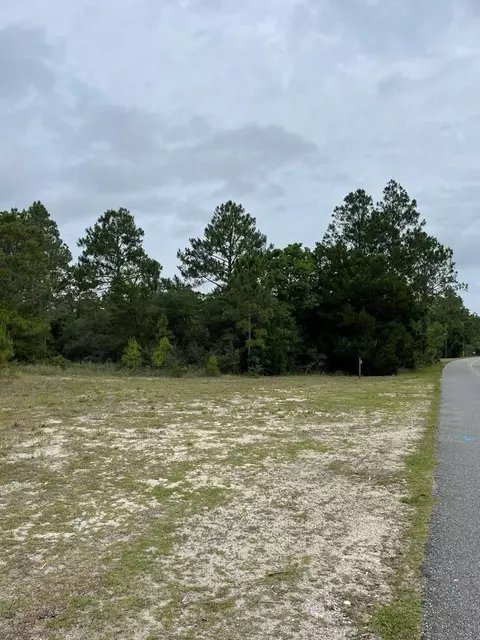 2079 Lighthouse Rd, Carrabelle, FL 32322 photo 5
