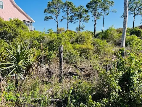 lot20 Turnstone Dr, Cape San Blas, FL 32456
