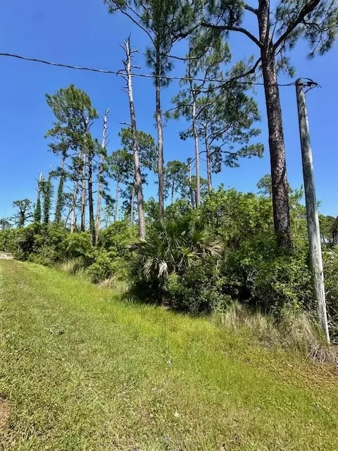  lot7 Sr 30-a, Port St. Joe, FL 32456 photo 3