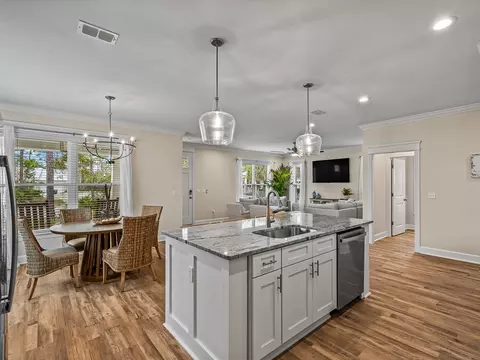 346 Royal Tern Ct, Carrabelle, FL 32322 photo 34
