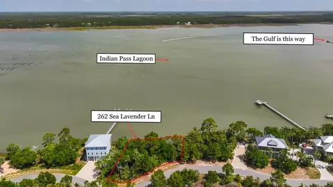 262 Sea Lavender Ln, Port St. Joe, FL 32456