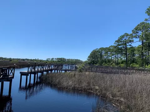 519 Shellys Loop Rd, Carrabelle, FL 32322 photo 18