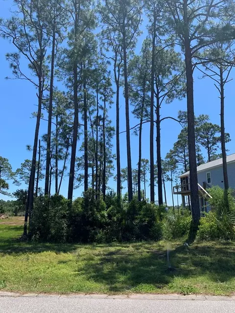 519 Shellys Loop Rd, Carrabelle, FL 32322 photo 24