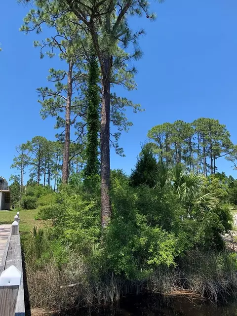 519 Shellys Loop Rd, Carrabelle, FL 32322 photo 26