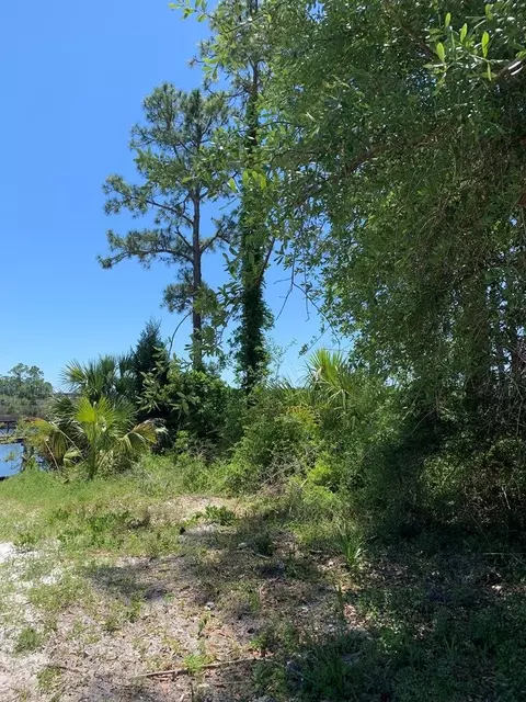 519 Shellys Loop Rd, Carrabelle, FL 32322 photo 5