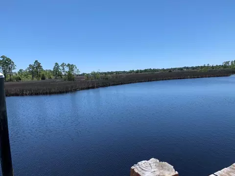 519 Shellys Loop Rd, Carrabelle, FL 32322 photo 9
