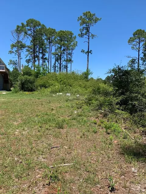 519 Shellys Loop Rd, Carrabelle, FL 32322 photo 4