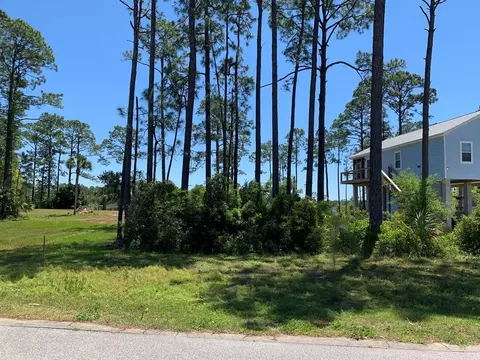 519 Shellys Loop Rd, Carrabelle, FL 32322 photo 19