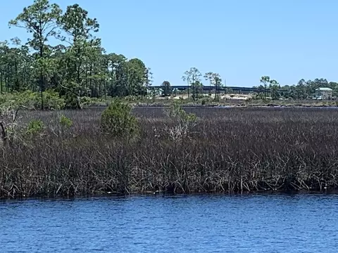 519 Shellys Loop Rd, Carrabelle, FL 32322 photo 17