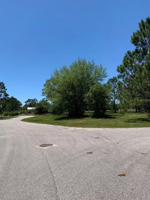 519 Shellys Loop Rd, Carrabelle, FL 32322 photo 28